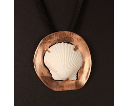 Scallop shell on copper disc