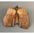 shellbutterflypin