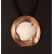 Scallop shell on copper disc