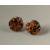 tigereyedots